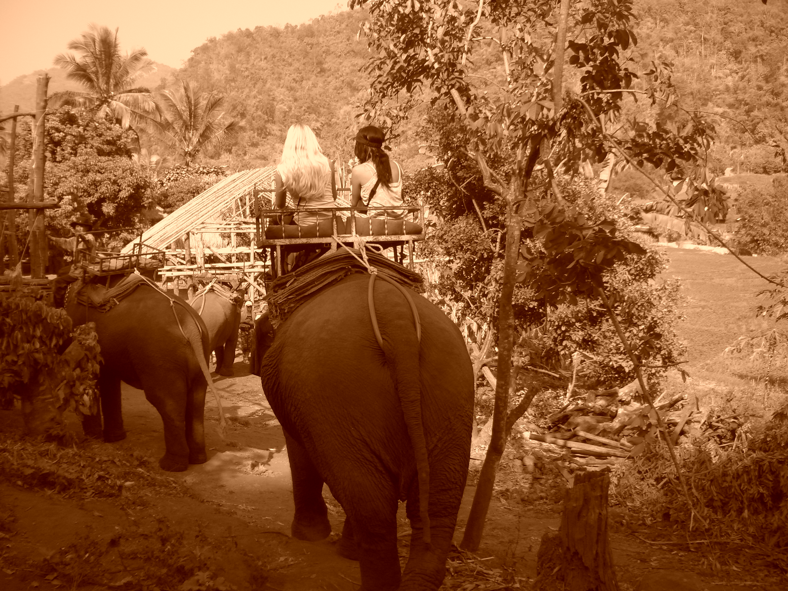 Backpacking Thailand: Temples, Islands, and Jungle Adventures