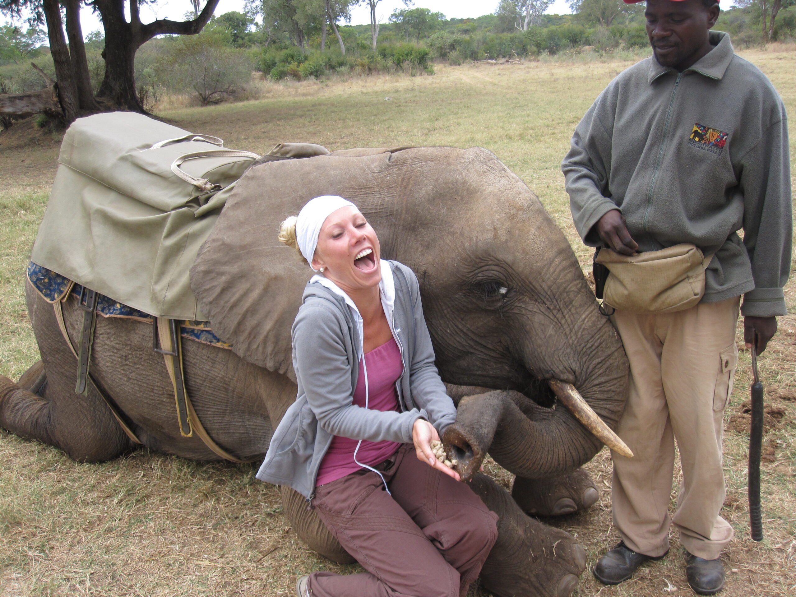 South Africa and Beyond: Adrenaline, Nature & Safari