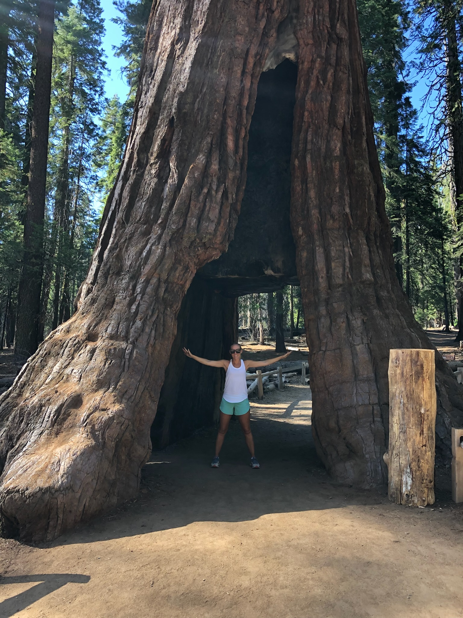 Road Tripping Through Yosemite and The Sequoias National Park